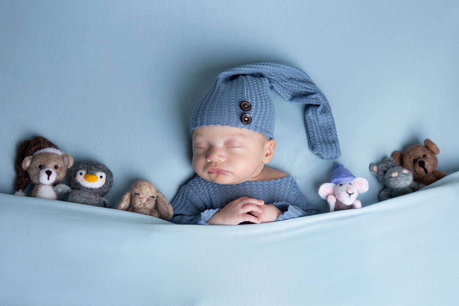Sleeping baby in blue knit hat nestled among plush animal toys on light blue background.