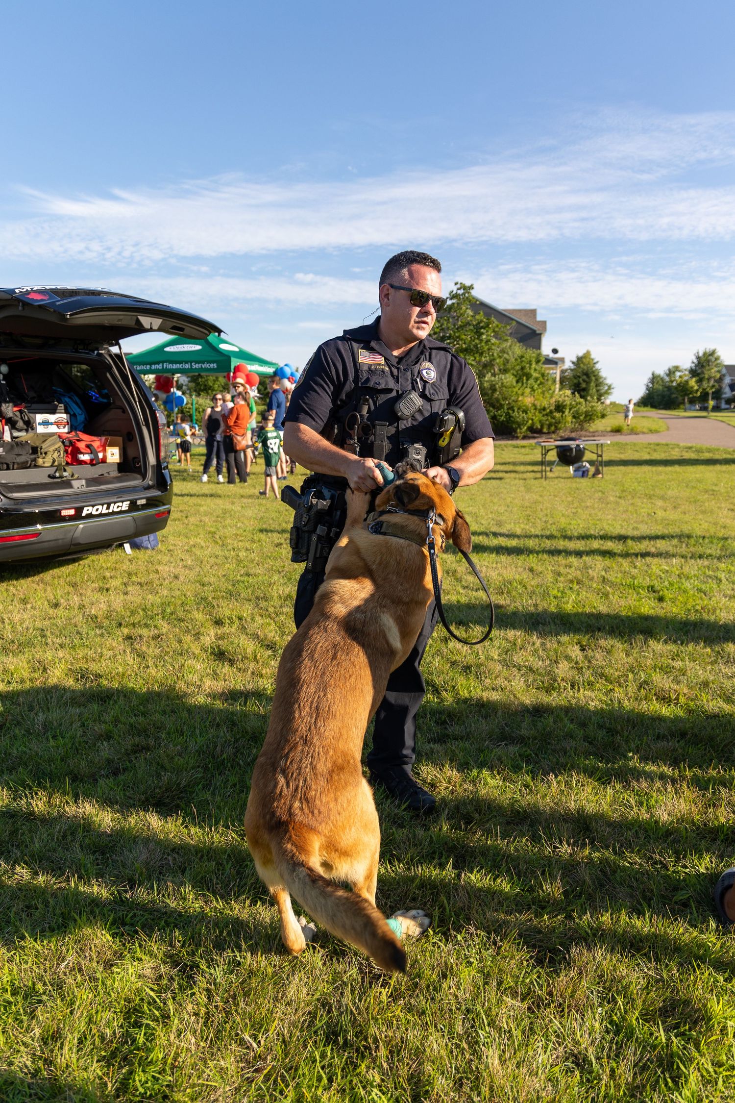 Police K-9 handler works with Belgian Malinois service dog during outdoor demonstration.