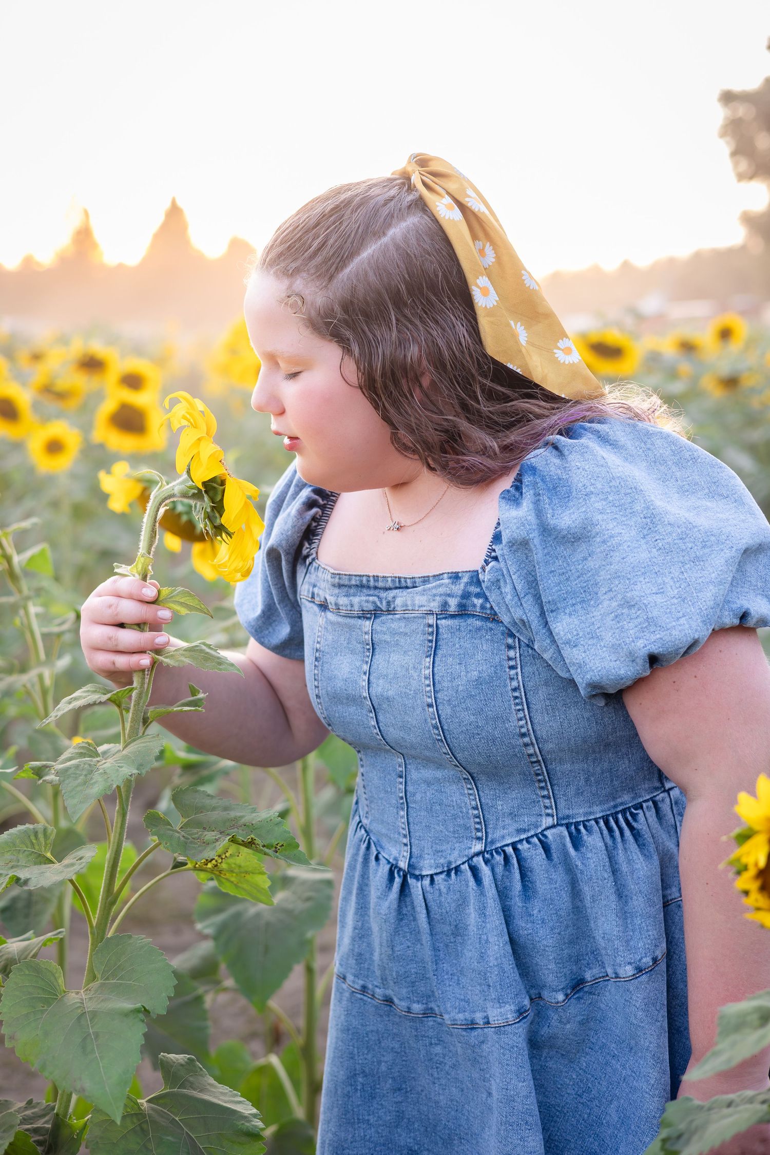 Child in denim dress examining sunflowers up close during sunset.