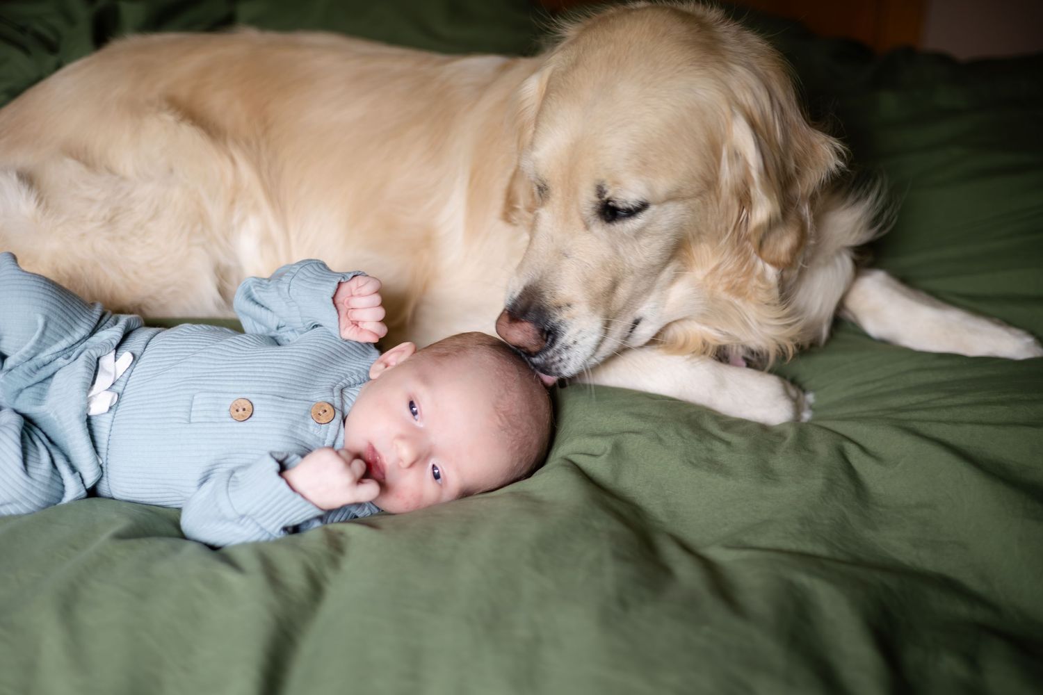 Golden retriever lying protectively next to baby in blue outfit on green bedding.