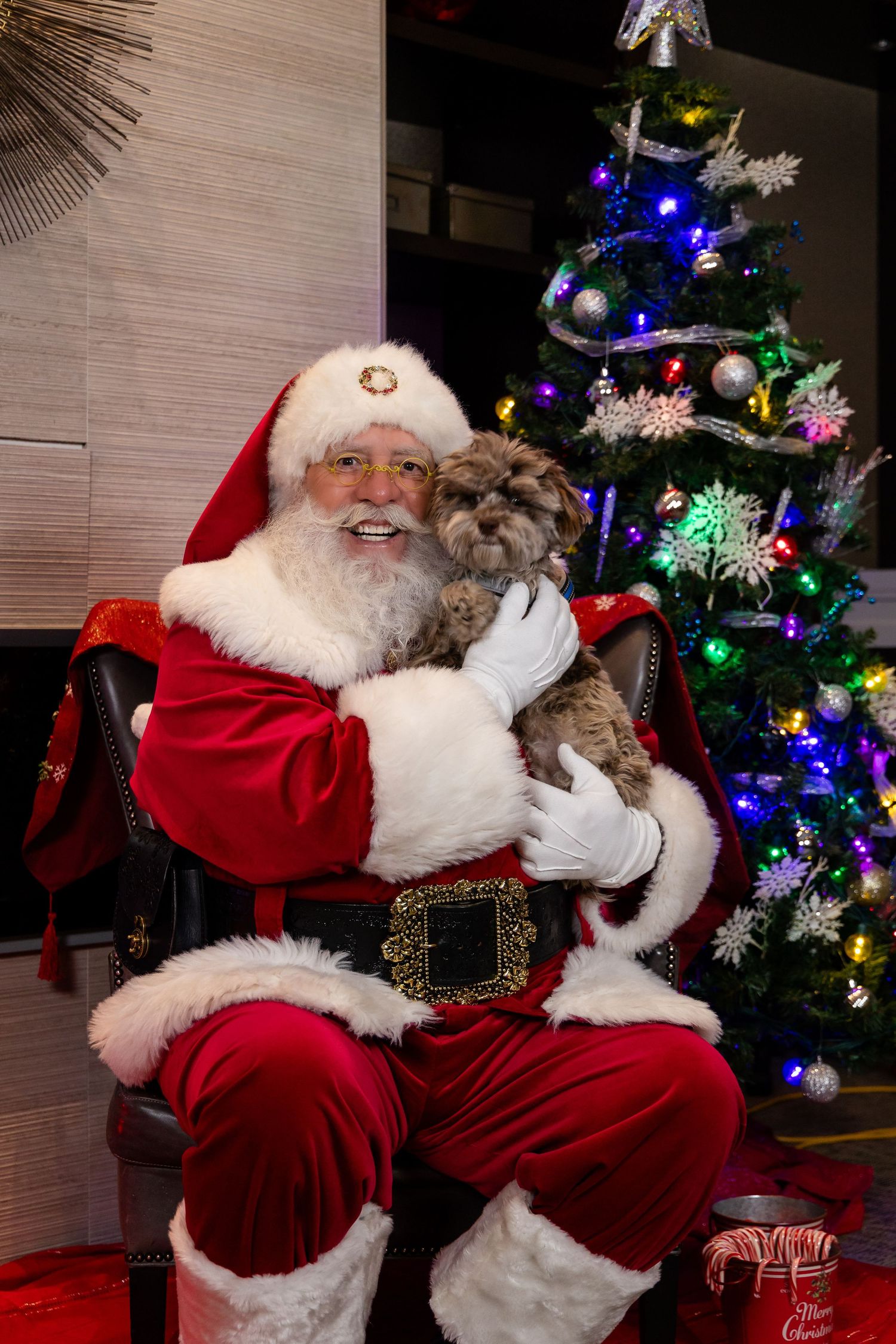 Santa Claus holds a furry cat while seated in his chair beside a decorated Christmas tree.