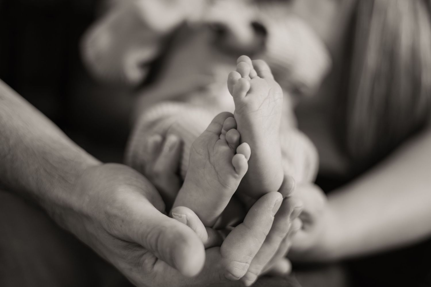 Black and white close-up photos of hands clasped together in intimate poses.