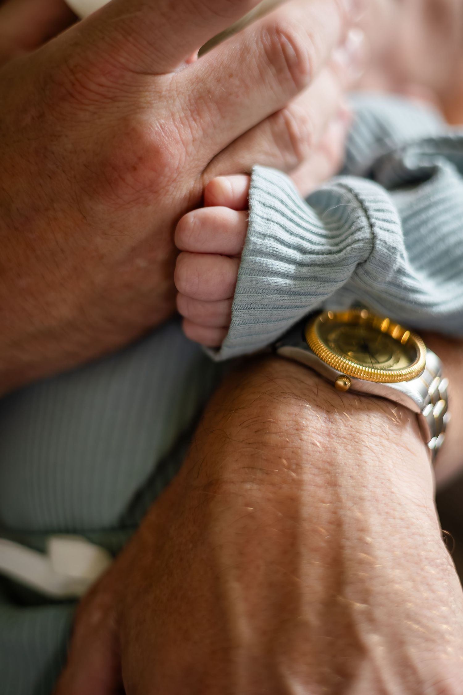 Close-up of adult hand wearing gold watch holding tiny baby fingers.
