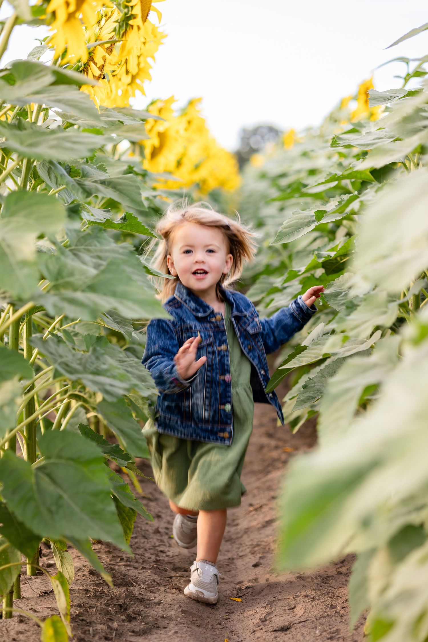 Child playing and running through rows of tall sunflowers in a field on a sunny day.