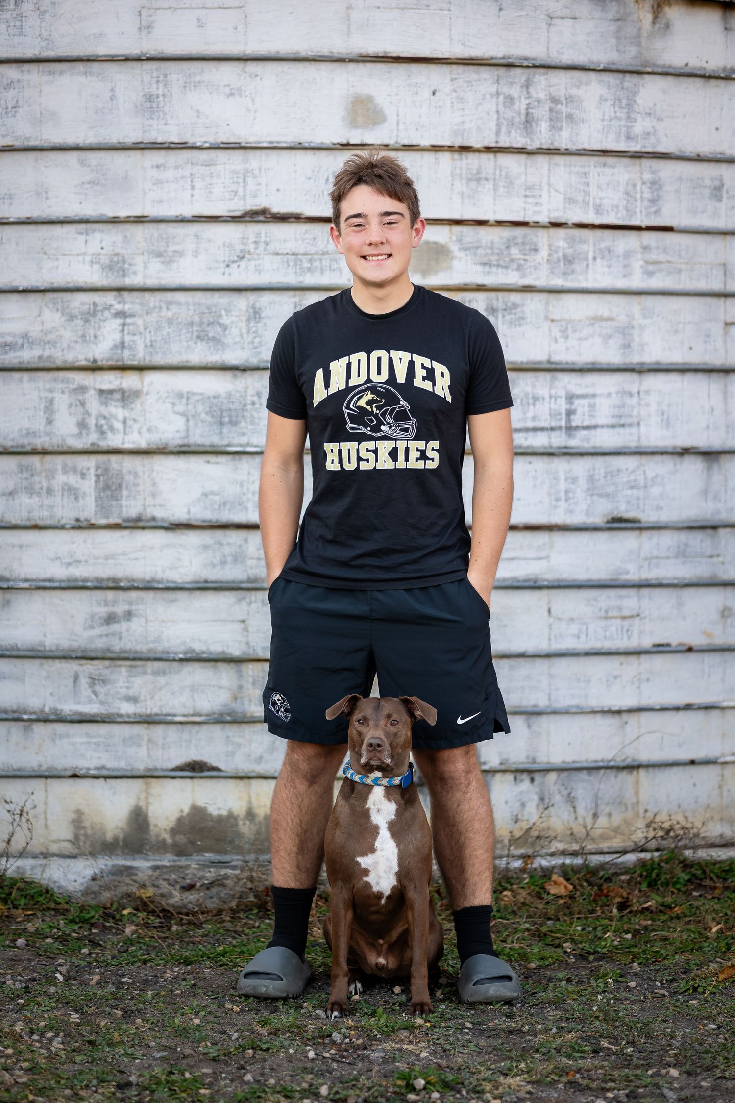 Three similar photos show someone sitting on the ground with a brown pit bull type dog against a white barn wall background.
