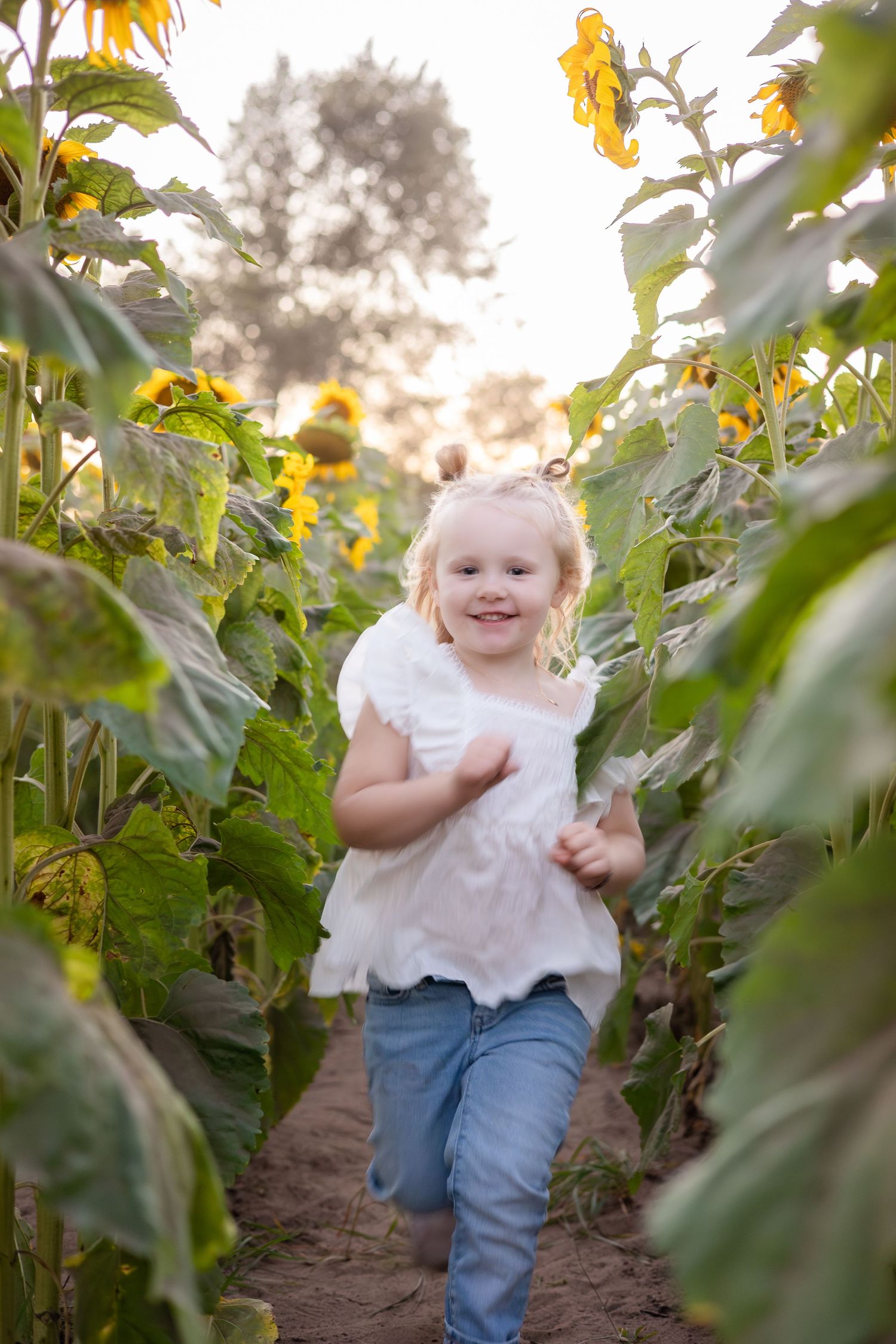A child plays joyfully among tall sunflowers in a garden wearing blue jeans and a white top.