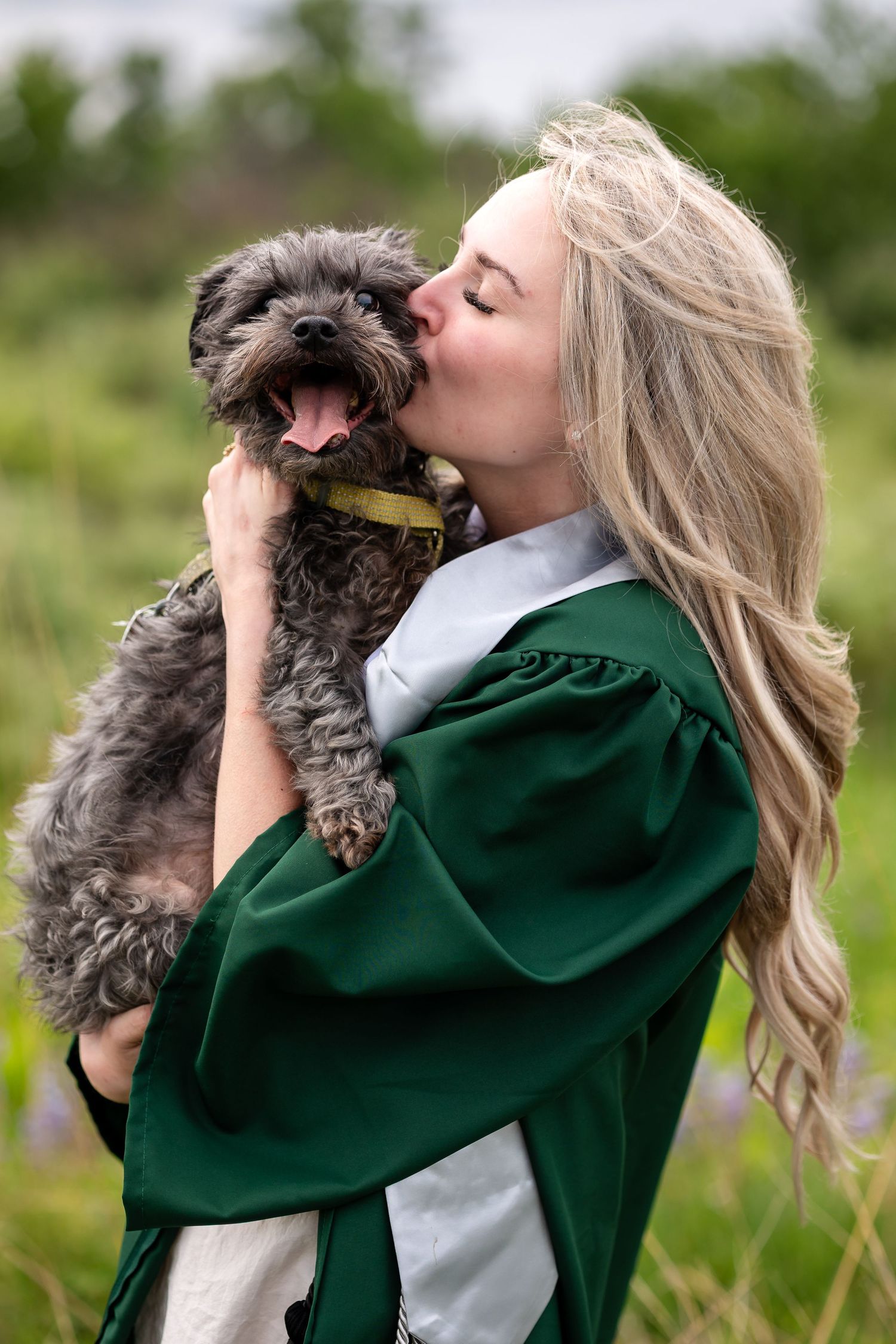 Blonde graduate in green gown kissing her small gray dog outdoors in a lush green field.
