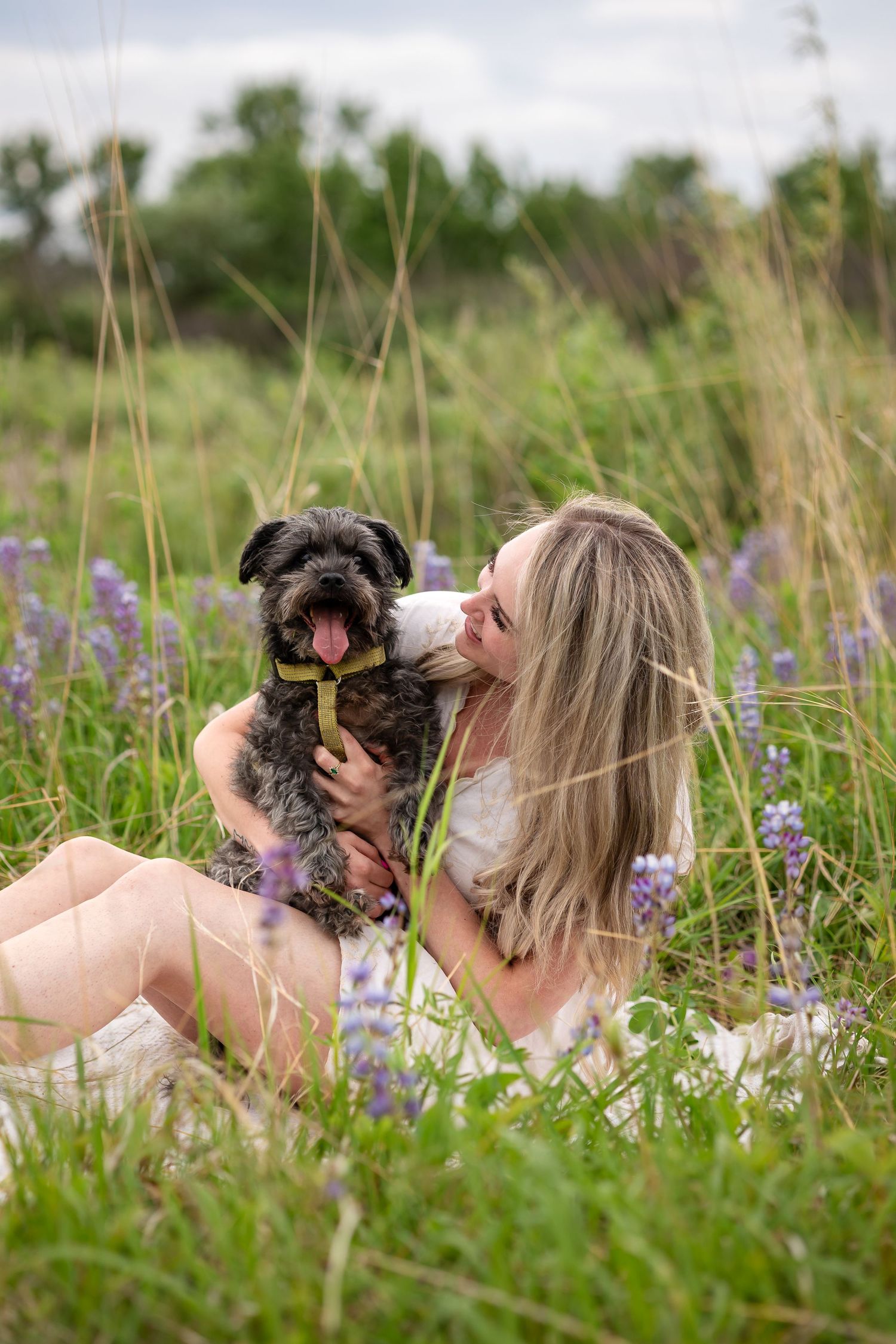 Blonde woman in white dress sits in tall grass hugging a happy gray schnauzer dog among purple wildflowers.