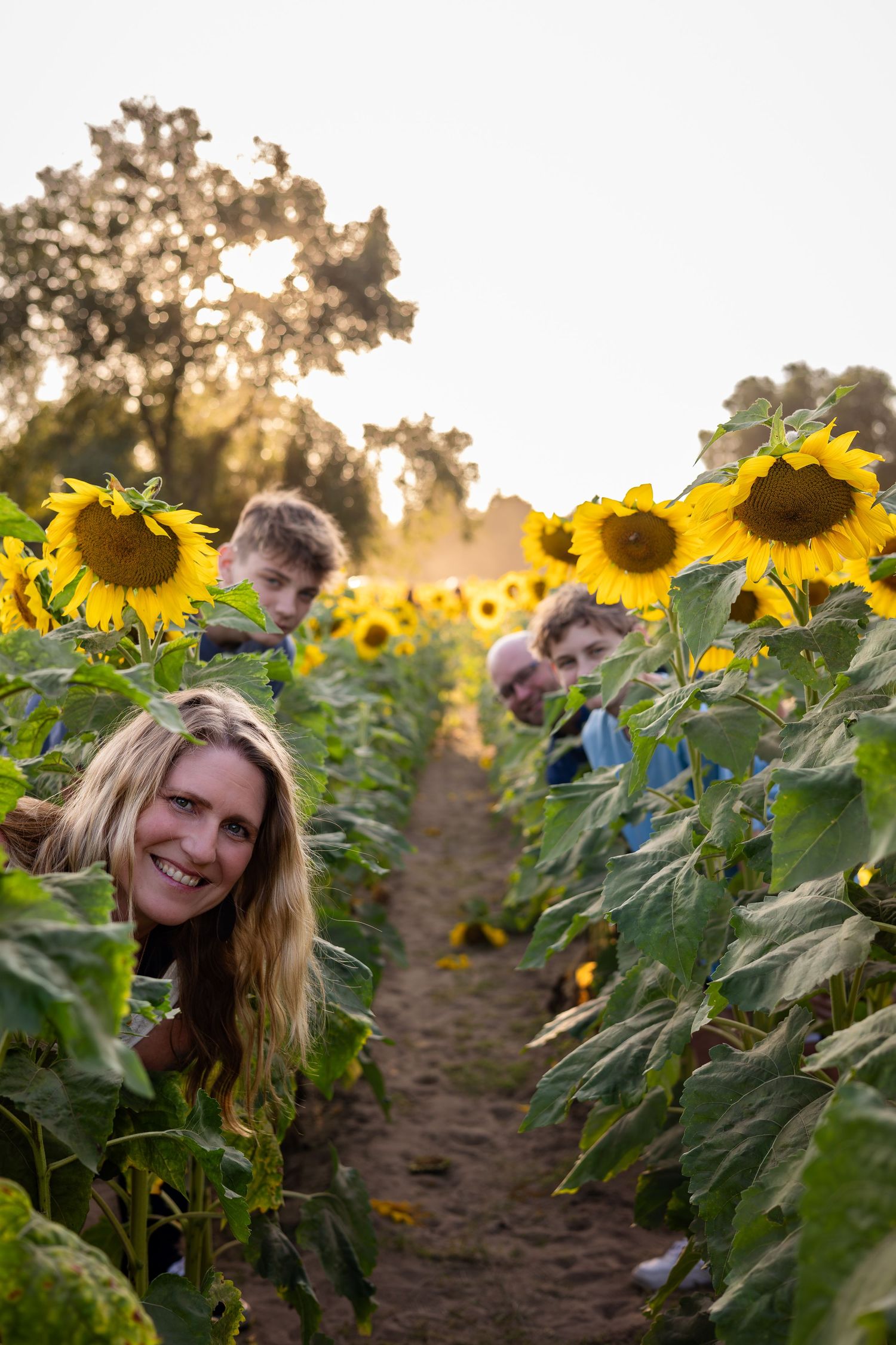 Sunflowers frame a joyful outdoor portrait session during golden hour.