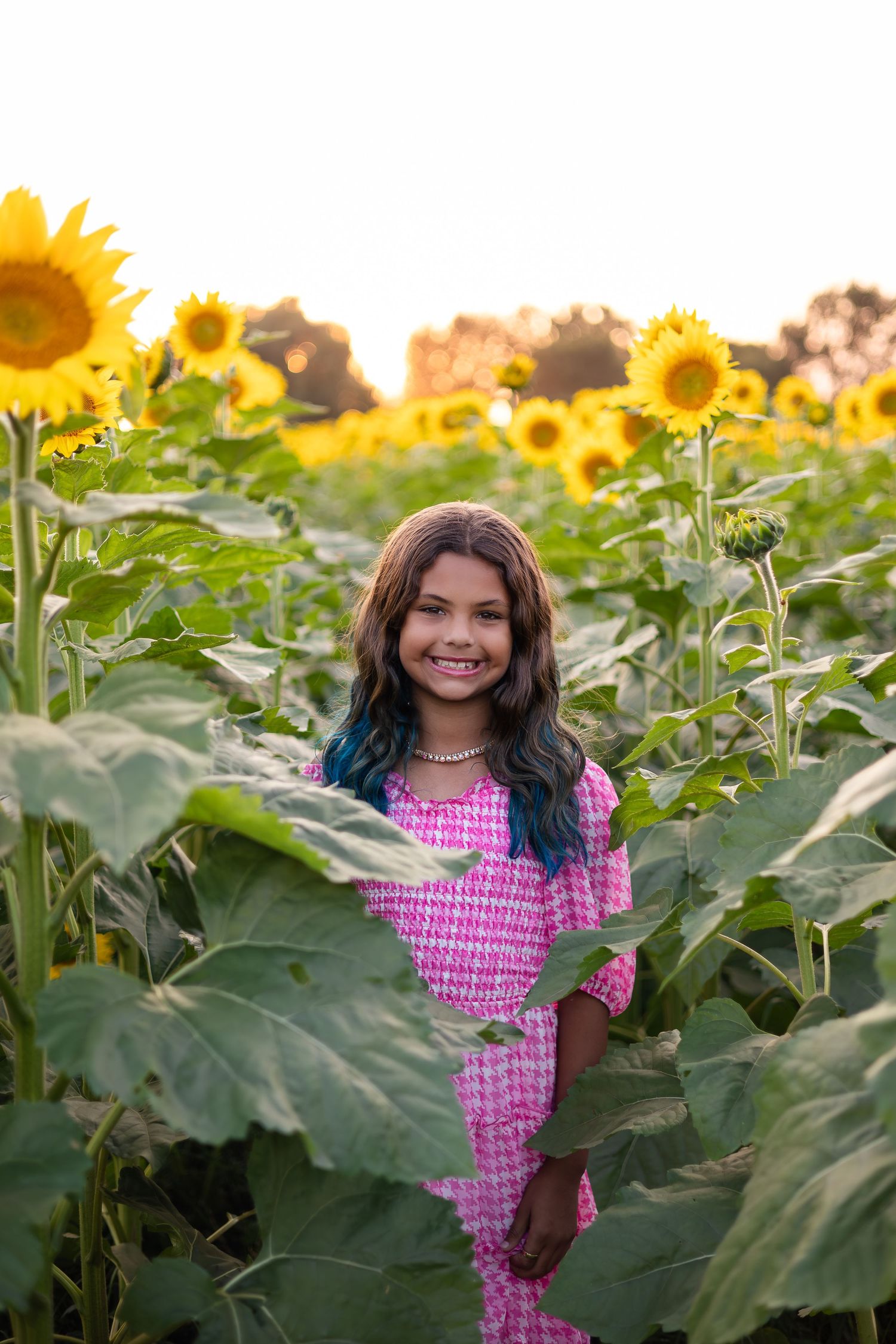 A person in pink stands among tall sunflower stalks during golden hour.