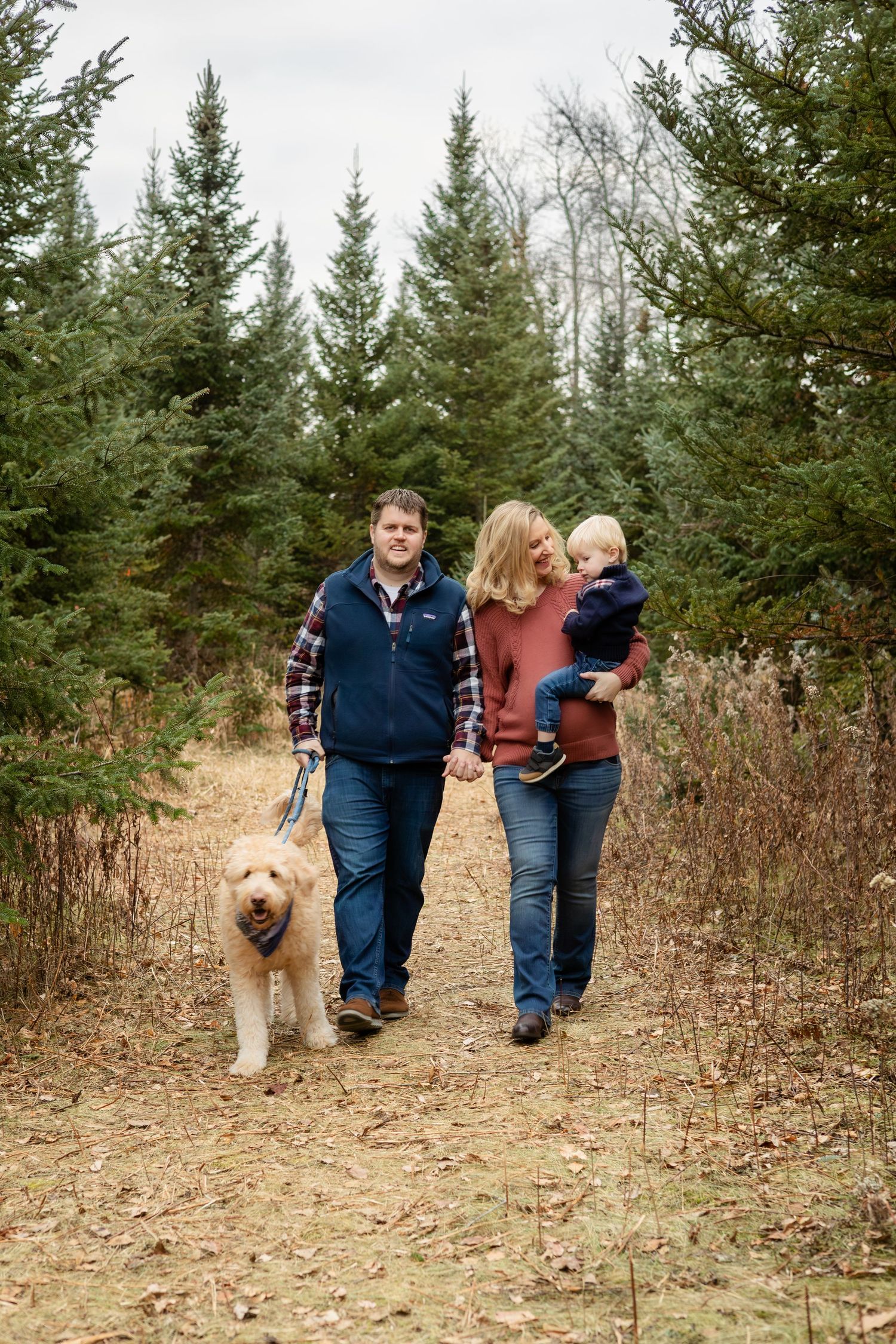 A family walks together through a pine forest path with their dog leading the way.