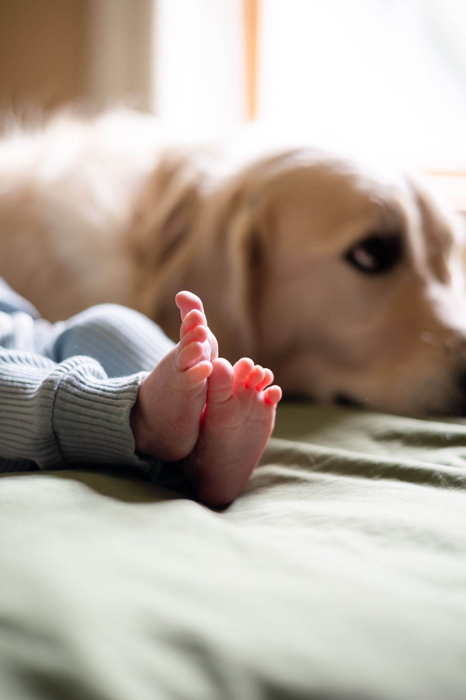 Close-up of tiny baby feet resting on soft bedding in natural light.