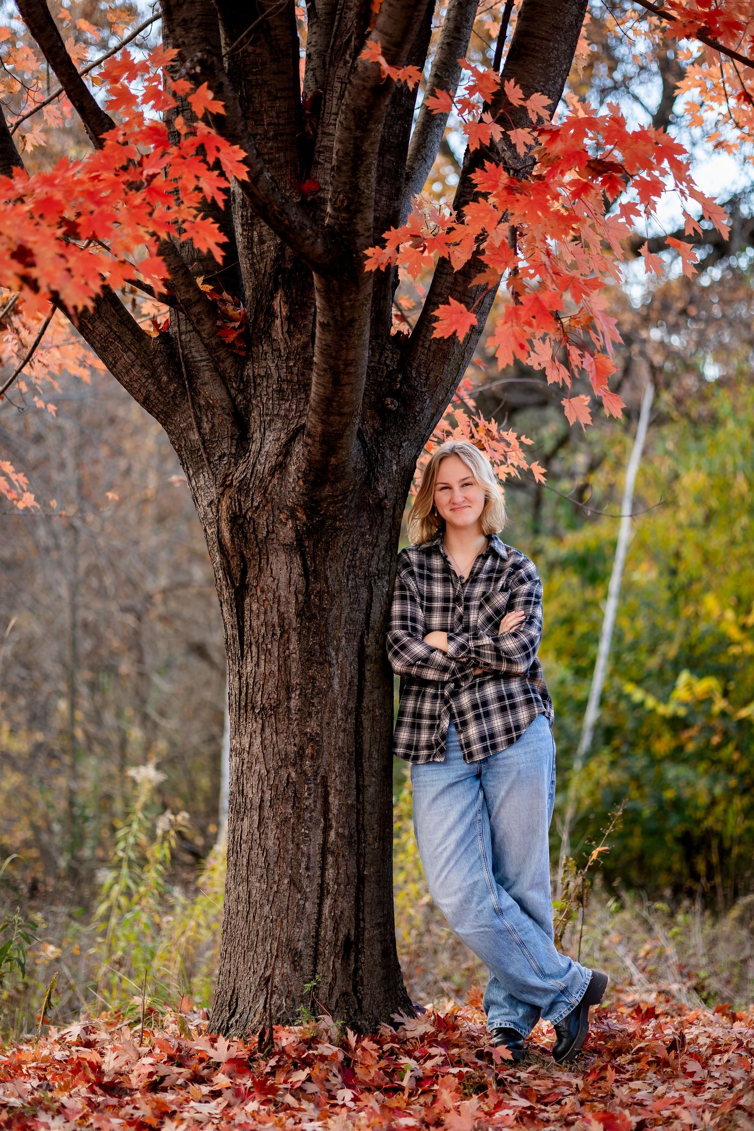 Fall portrait session under a maple tree with vibrant red autumn leaves and natural outdoor lighting.