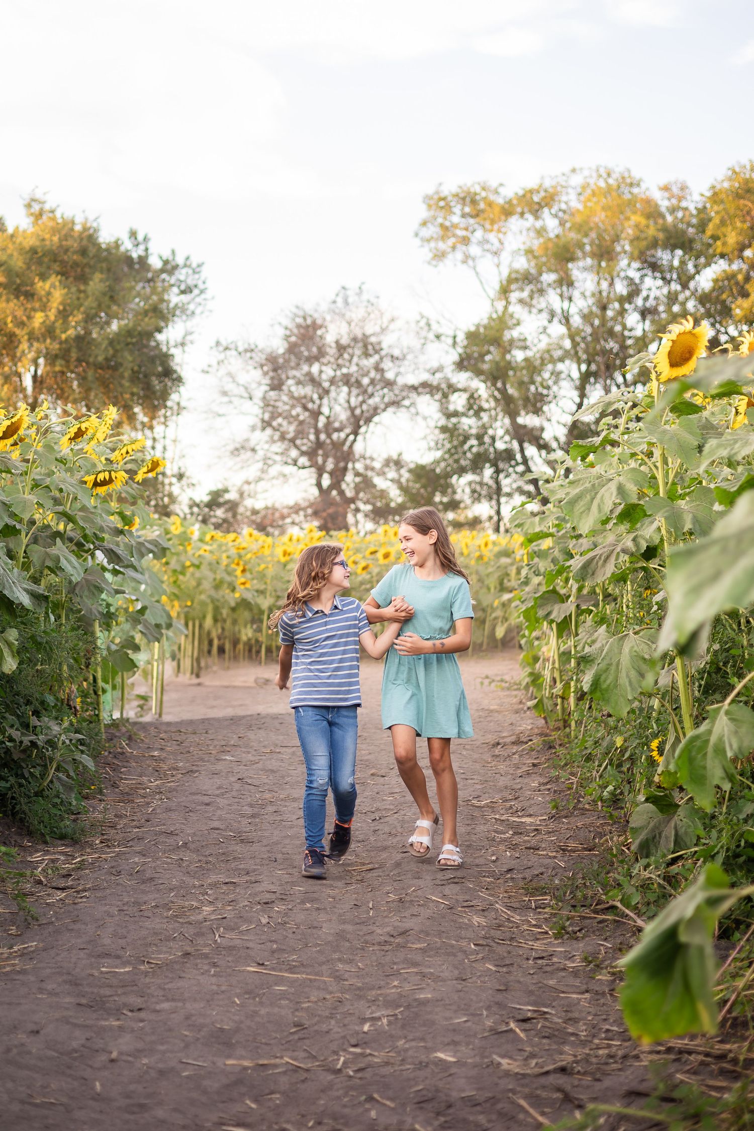 Family strolling together through rows of towering sunflowers at sunset.