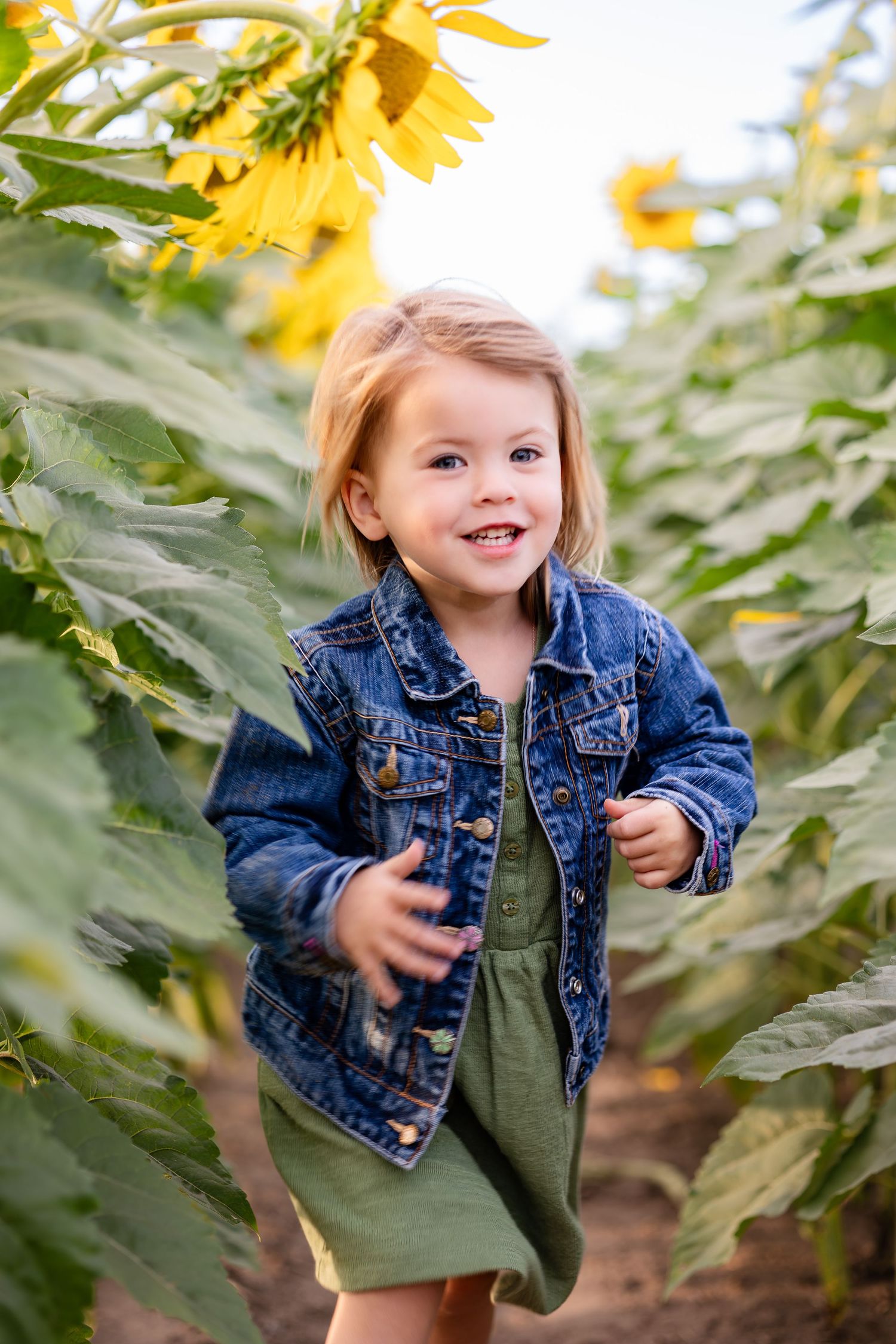 Child playing joyfully among tall sunflowers wearing denim jacket and green dress.