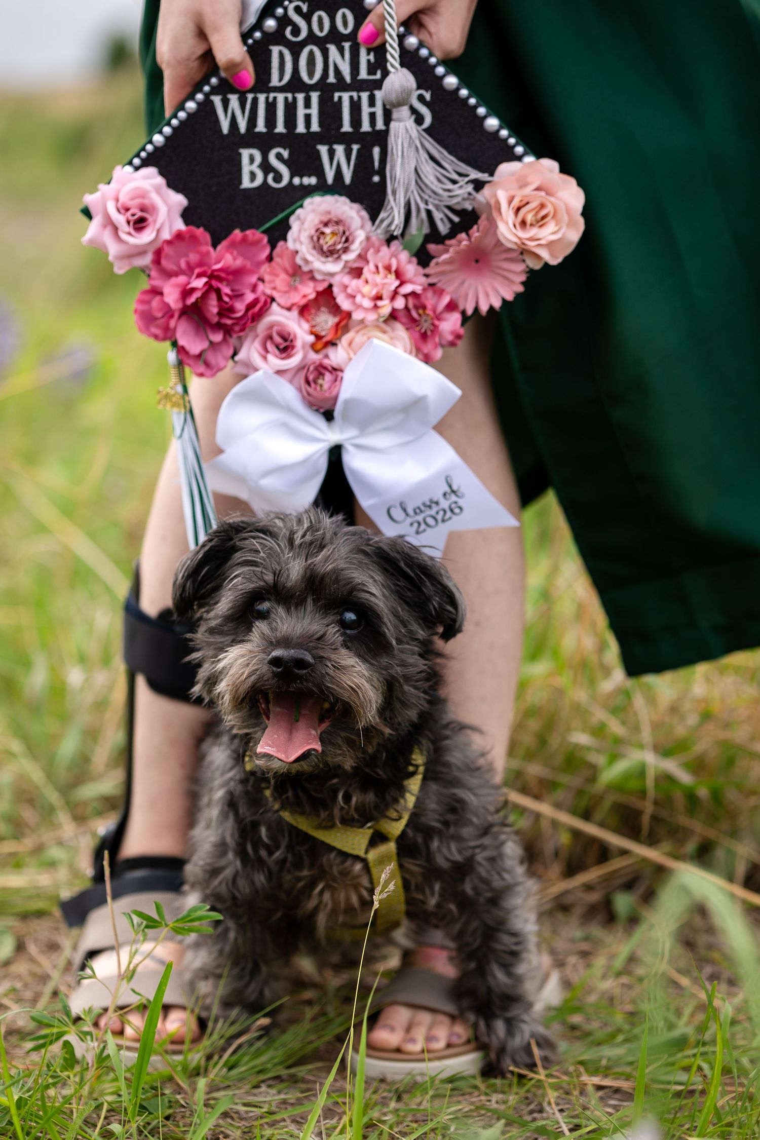 A small fluffy dog sits in front of a decorated graduation cap with pink flowers and a white bow reading Class of 2026.