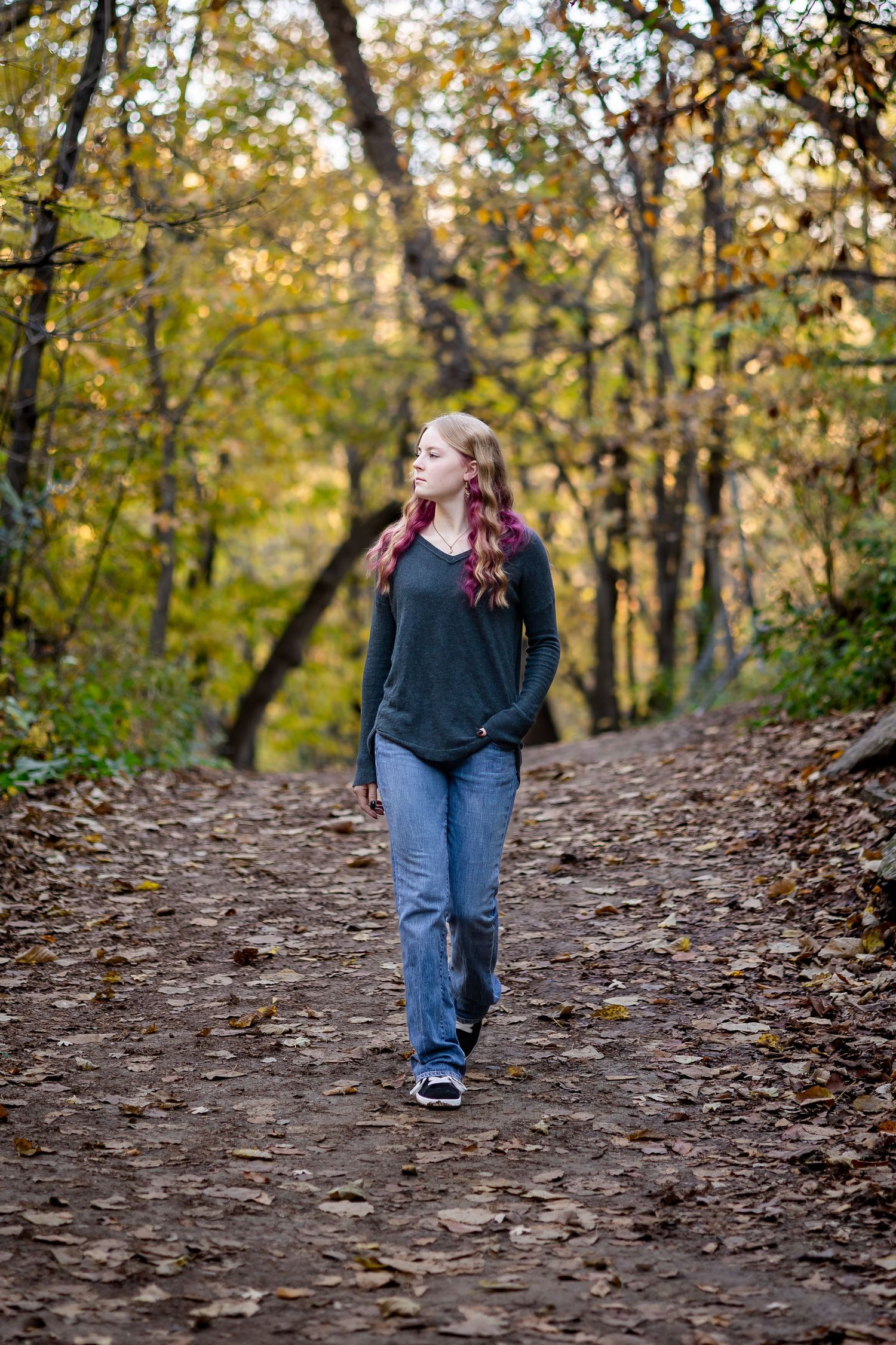 A figure walks along a winding autumn trail through the woods as golden leaves scatter the ground.