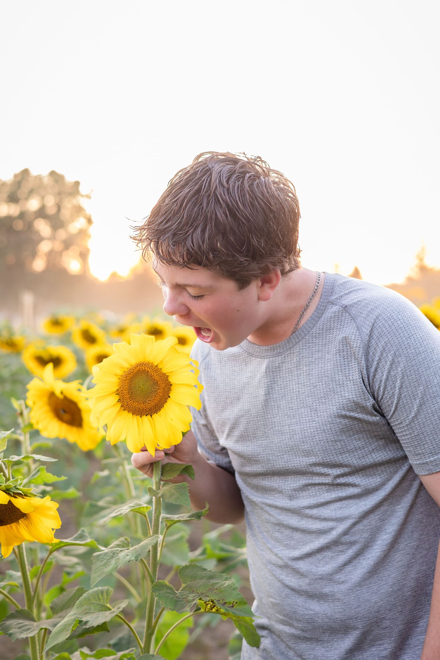 Person in grey shirt leaning to smell bright yellow sunflowers in golden sunlight.