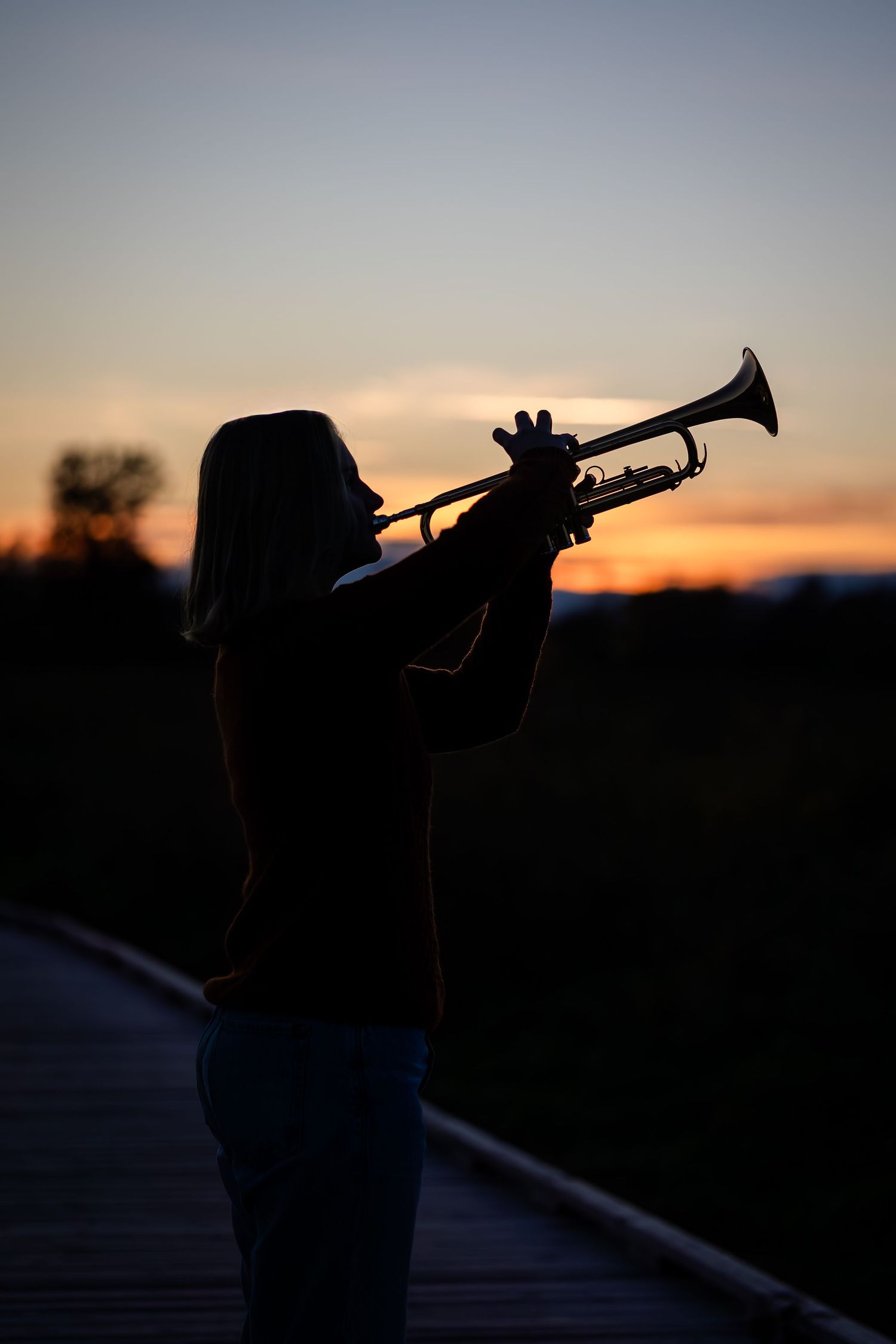 Silhouette of a trumpet player performing against a dramatic sunset sky in multiple sequential frames.