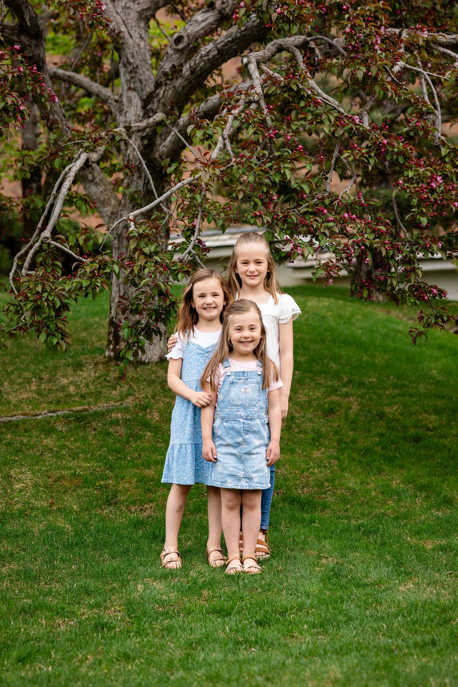Three young girls in dresses pose together on green grass beneath a flowering tree.