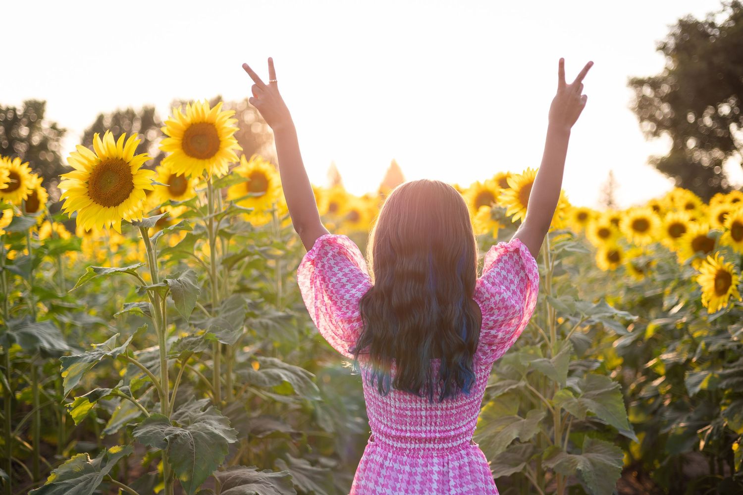 A person in a pink dress celebrates joyfully in a sunflower field at sunset.