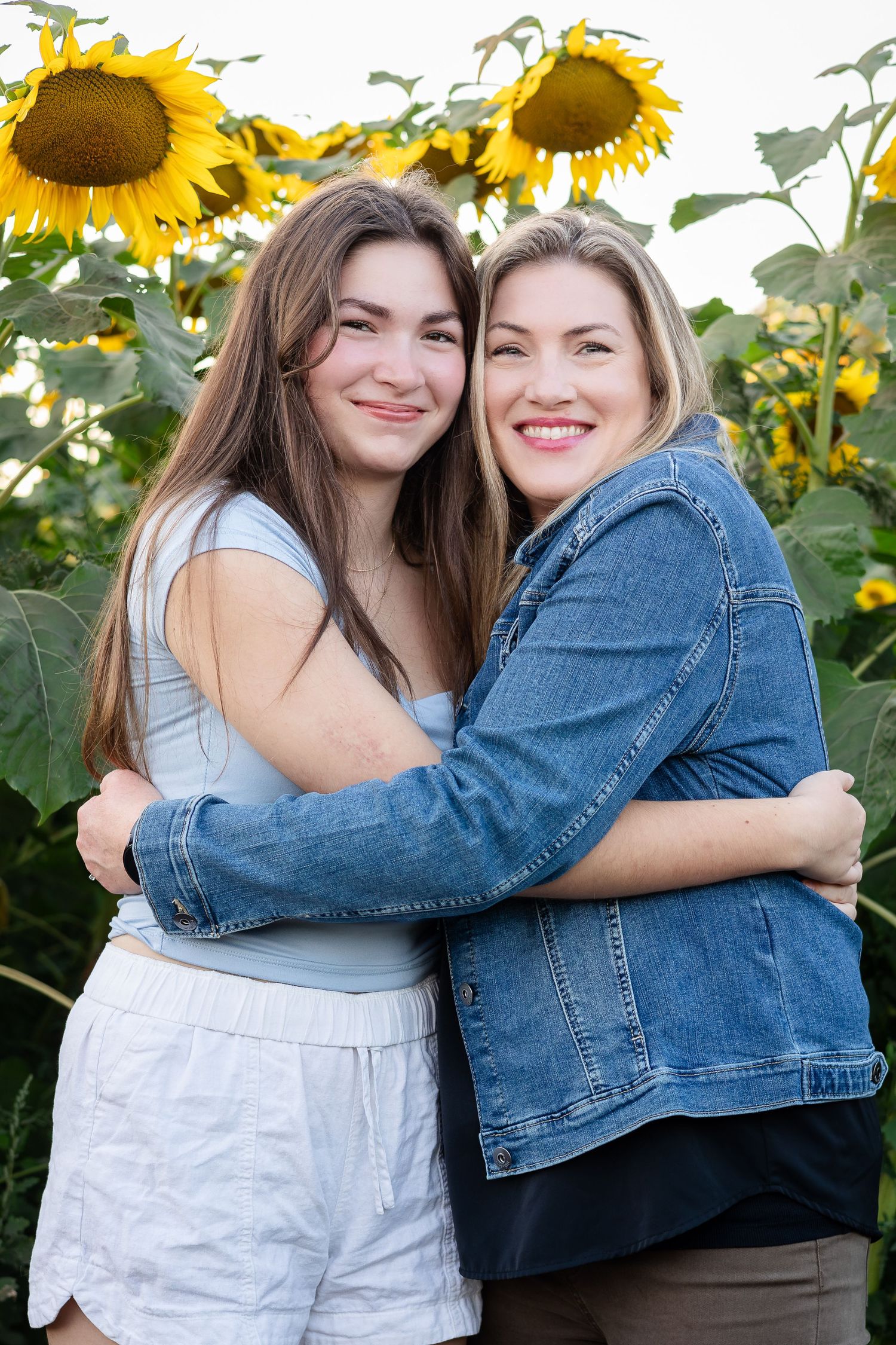 Two people embrace warmly while standing in a field of bright yellow sunflowers.