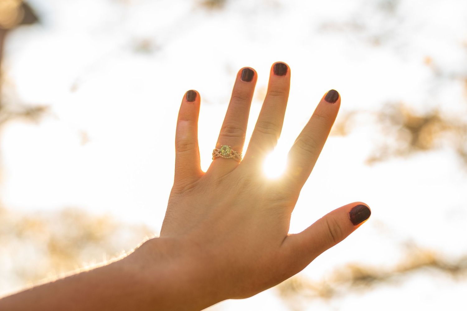Hand with engagement ring held up against golden sunset light in silhouette.