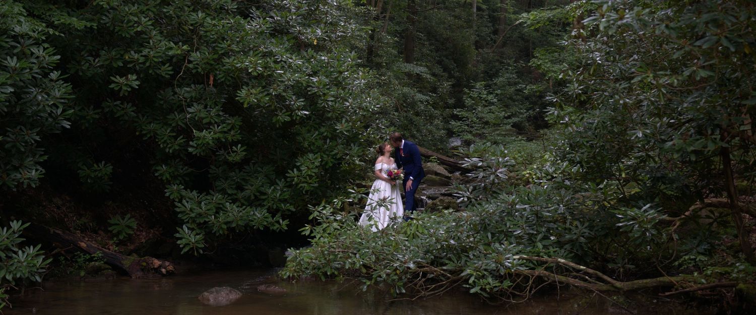 A couple in wedding attire embraces among lush green trees beside a serene forest creek.