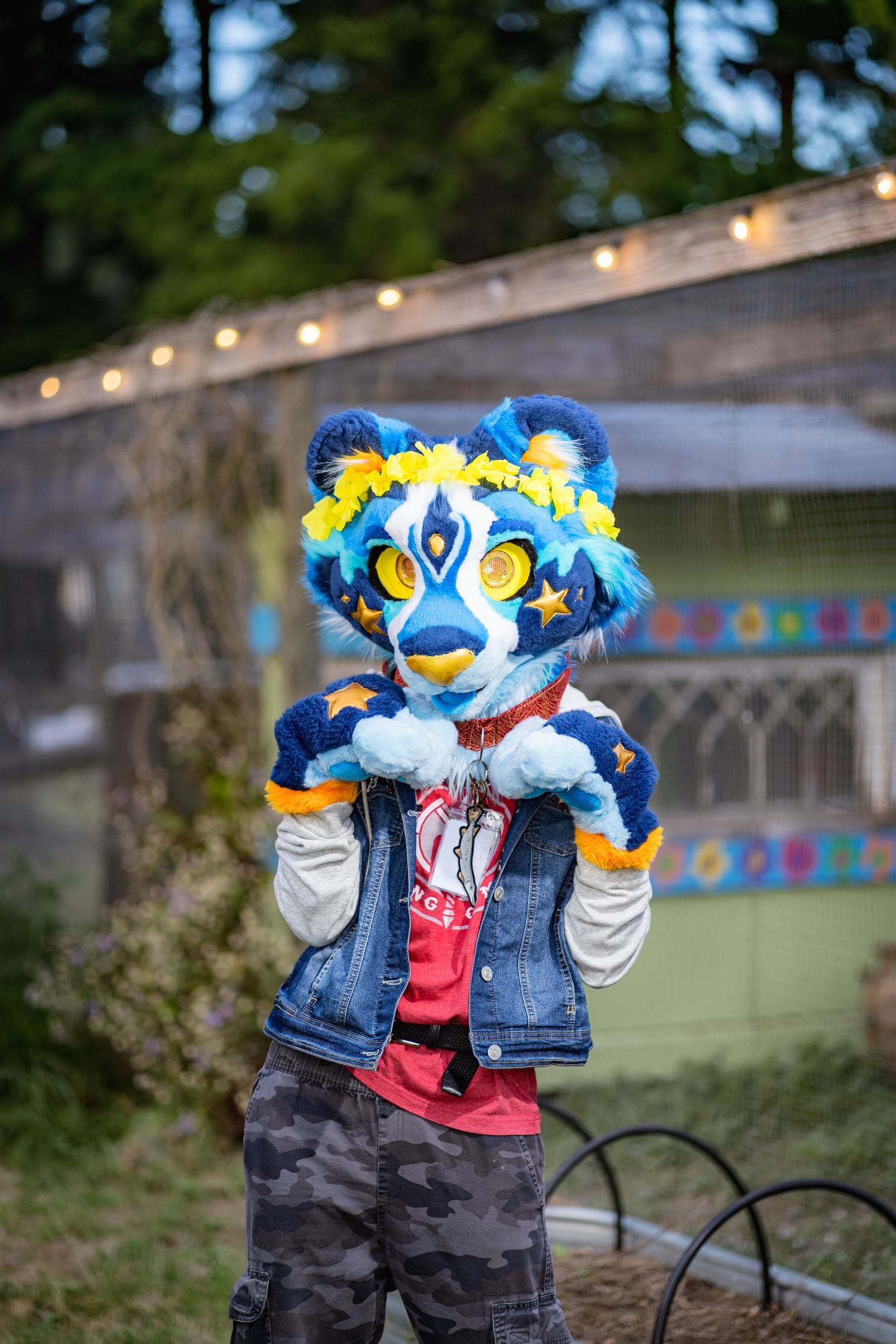 Blue and white fursuit character in casual attire poses near a decorated outdoor space.