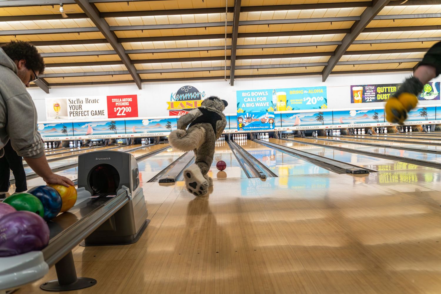 A fursuit character takes aim down a bowling lane surrounded by colorful bowling balls.