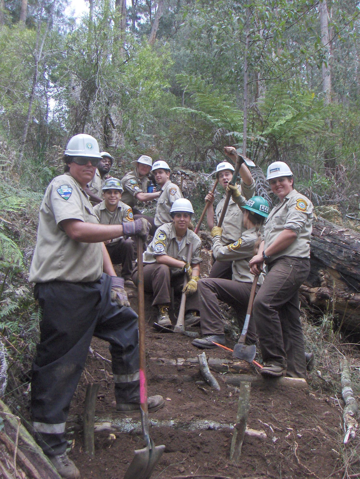Trail maintenance crew with tools working on forest path construction.