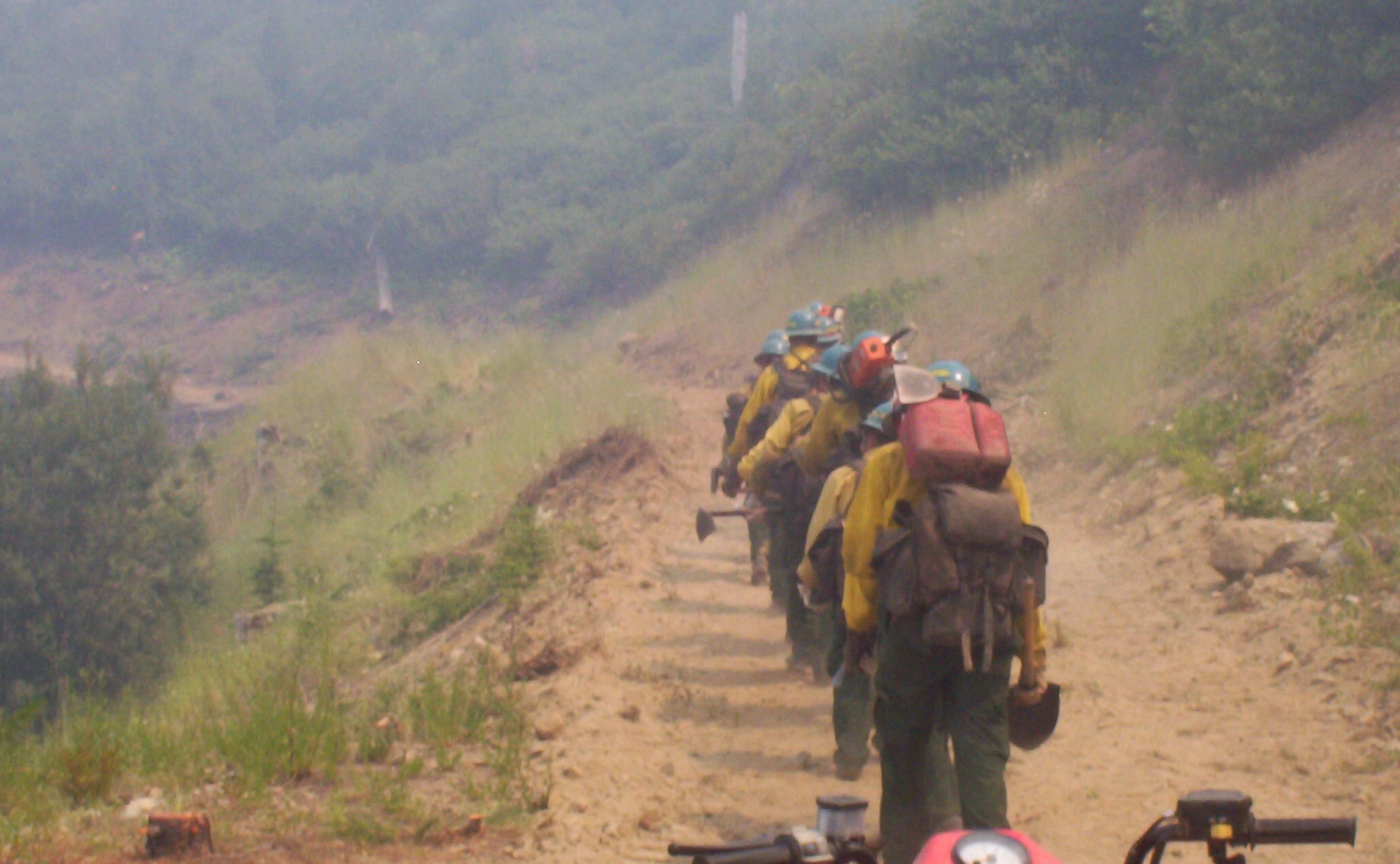 String of mules carrying gear along a narrow dirt trail on a misty mountainside.