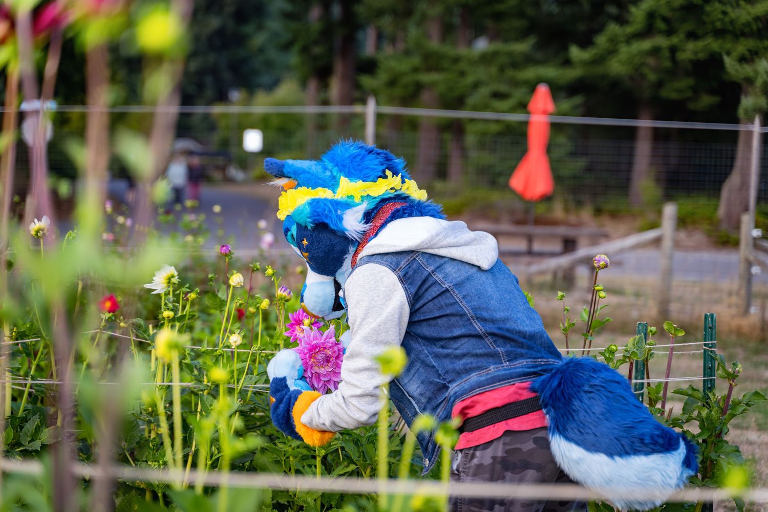 Costumed figures explore outdoor garden area with red safety cones.