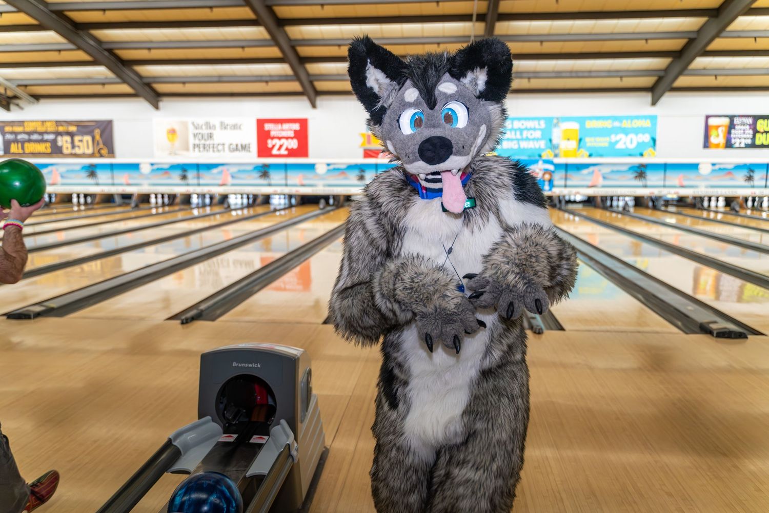 A wolf-like fursuit character poses playfully at a bowling alley.