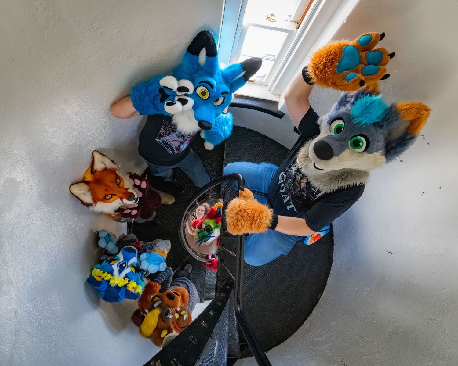 Colorful fursuit heads and costumes displayed in a circular arrangement.
