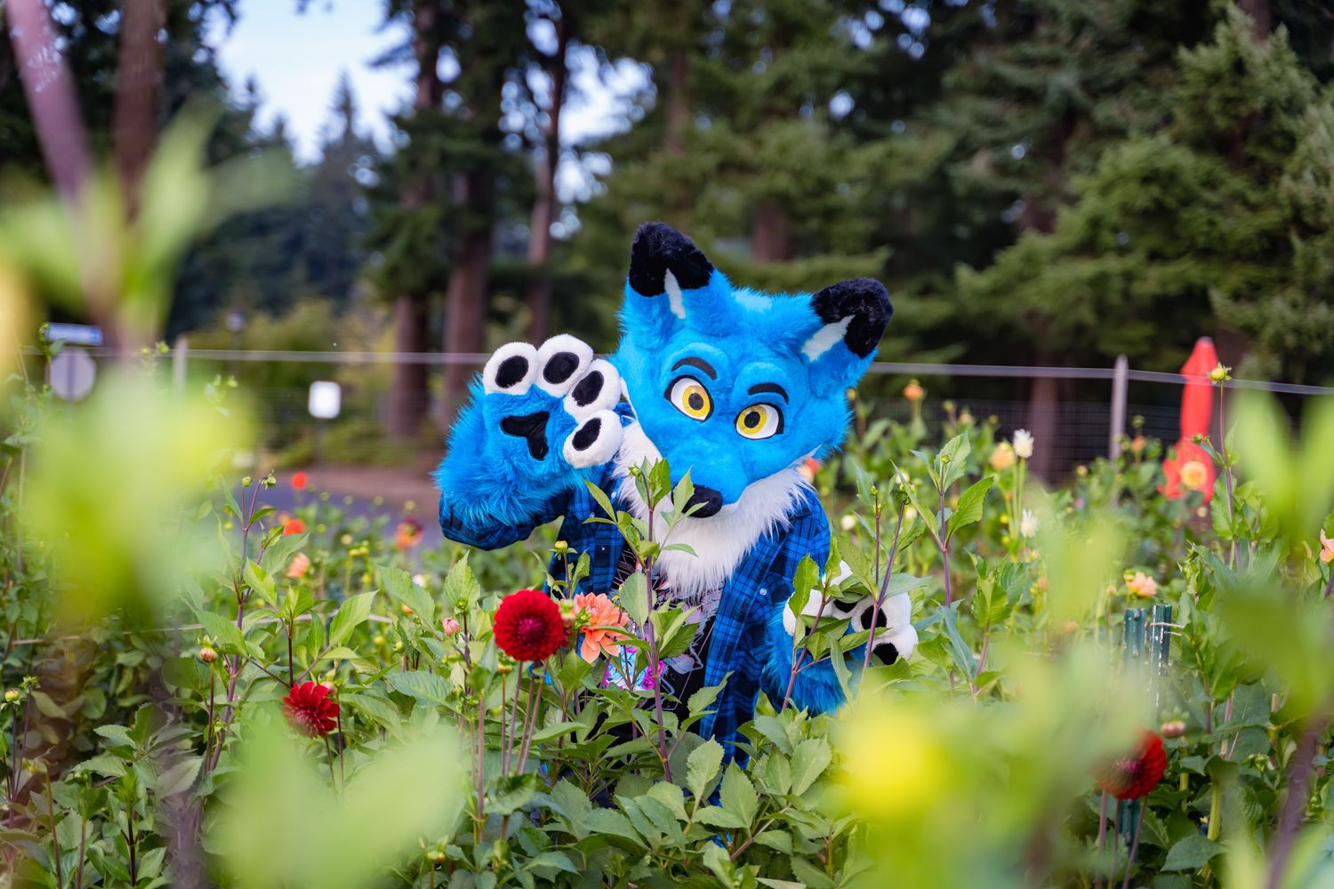 Colorful fursuit characters pose among blooming dahlias and garden flowers in an outdoor setting.