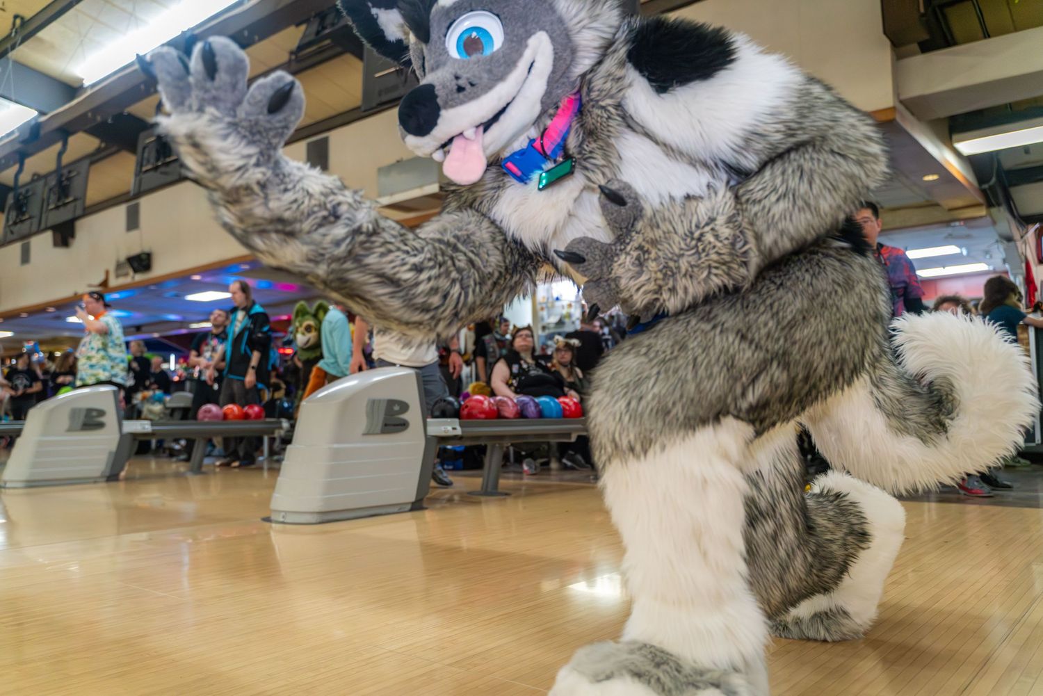 Grey wolf fursuit performing animated poses near bowling lanes.