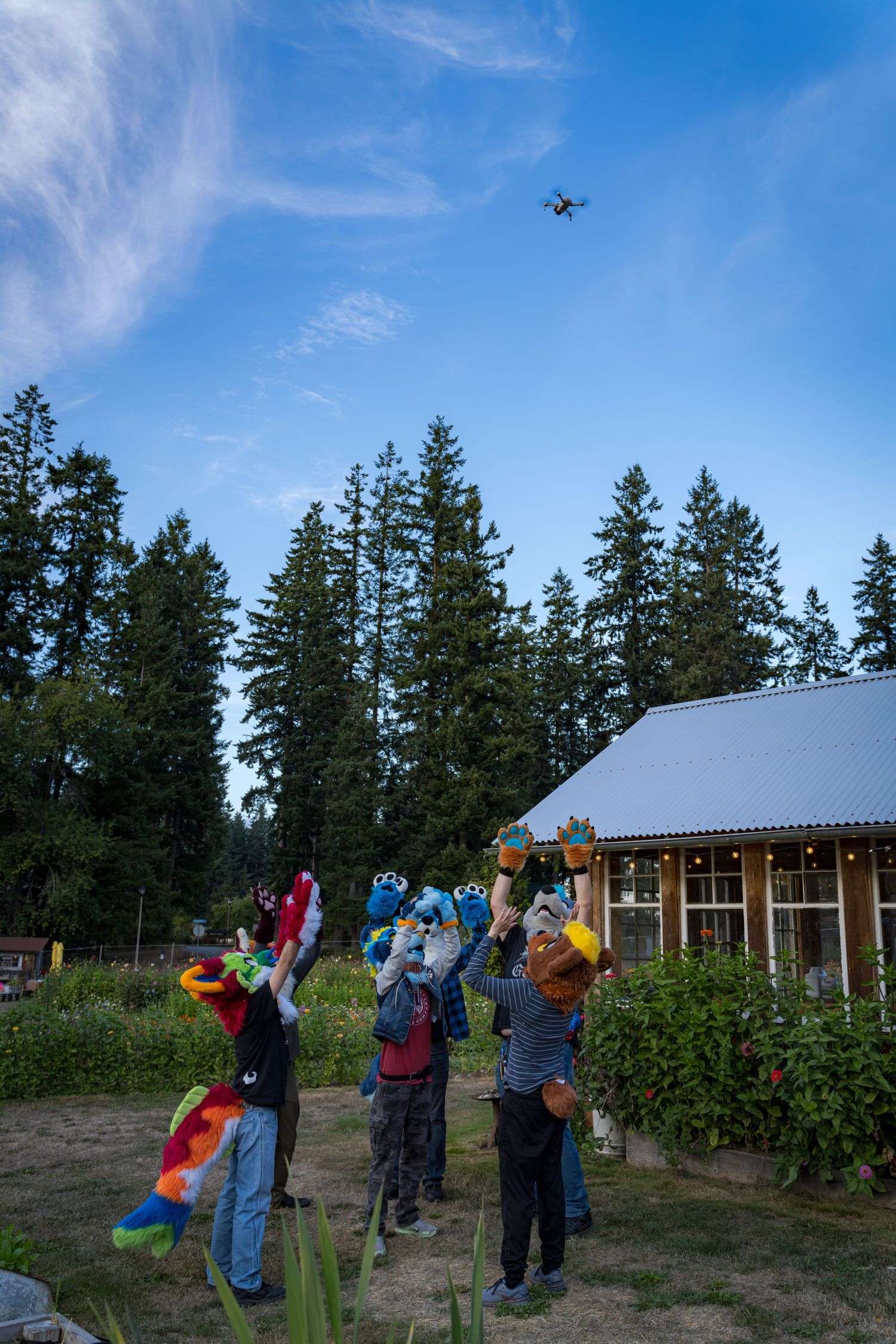 People in costumes wave at a drone flying overhead against a blue sky with evergreen trees.