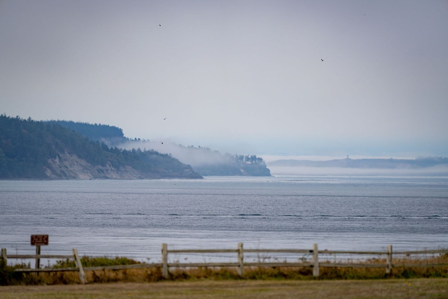 Foggy coastal cliffs extend into the distance along a misty ocean shoreline.