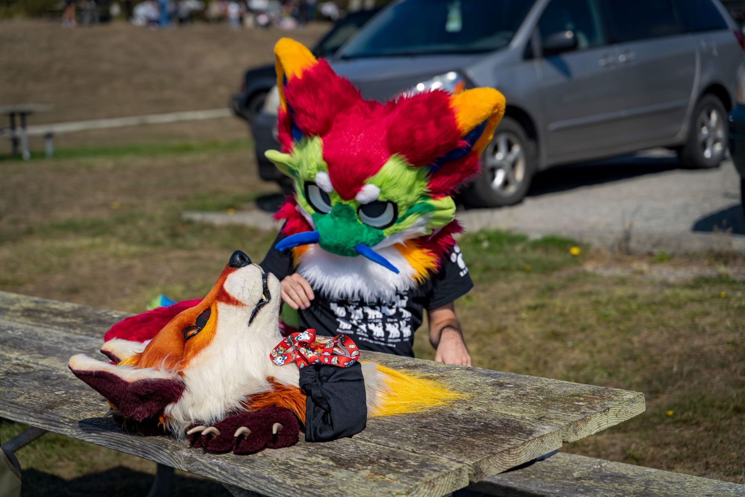 Colorful fursuit parts and accessories displayed on wooden picnic table.