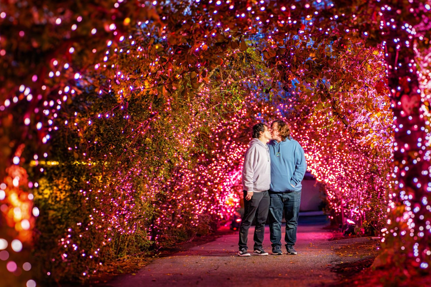 Path lined with glowing pink cherry blossom lights creating a magical tunnel effect.