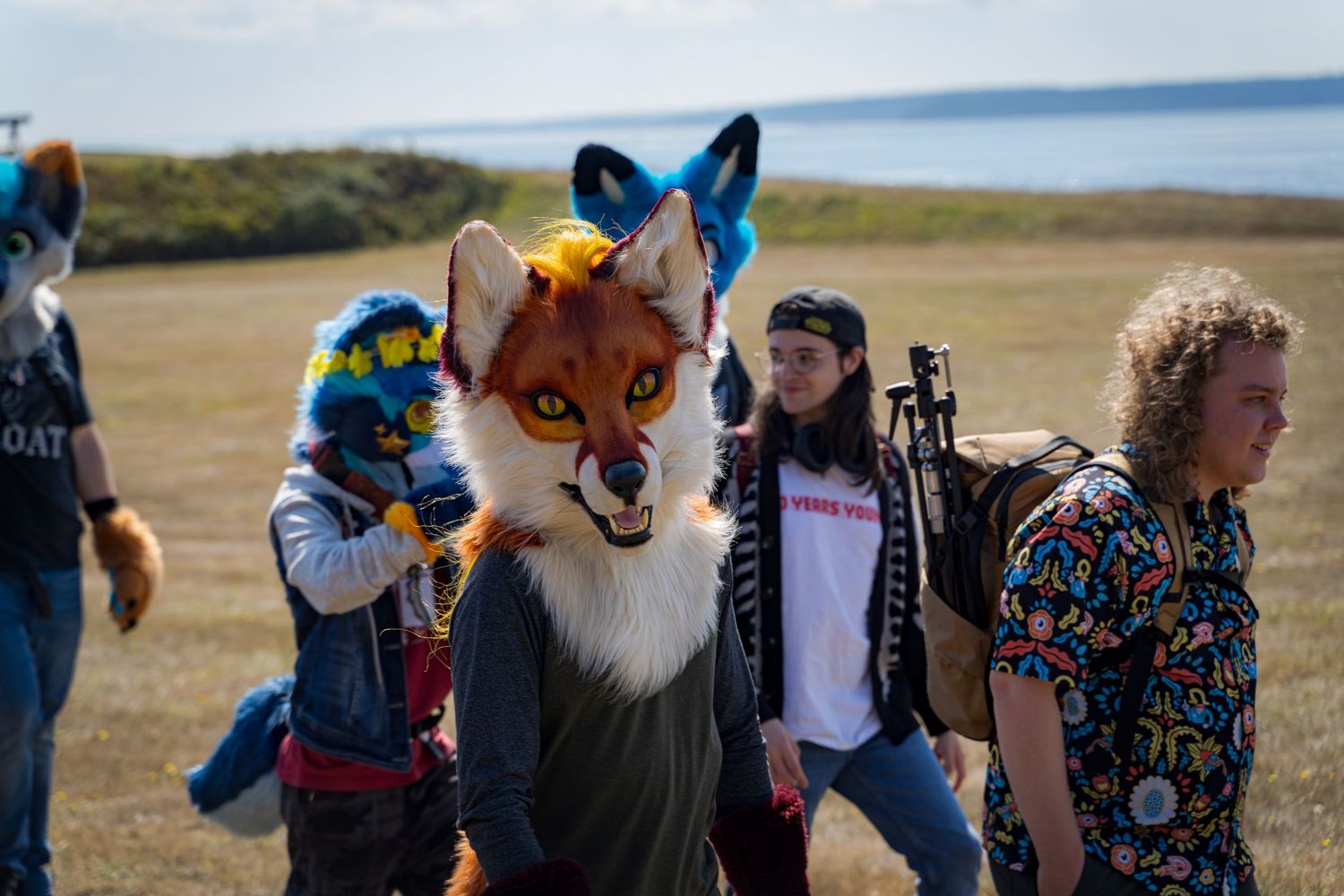 Several colorful animal fursuits posing together at an outdoor meetup.