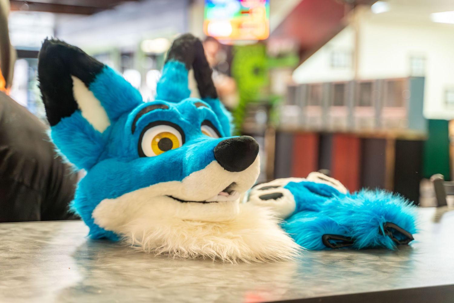 Close-up view of bright blue fursuit heads with large eyes and white accents.