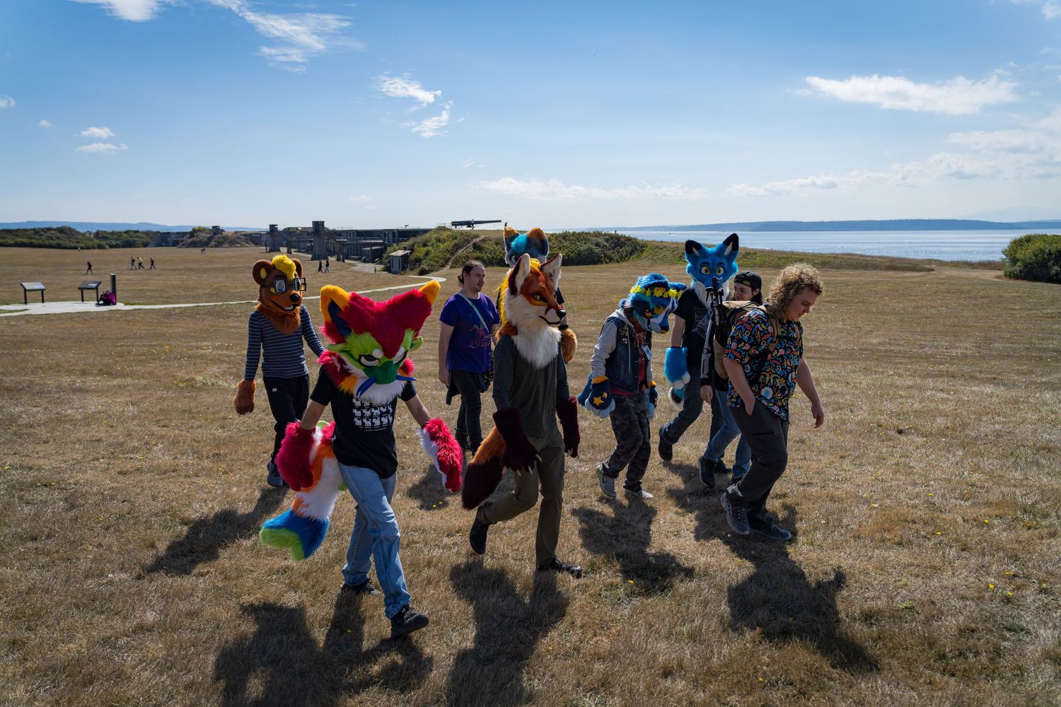 Group of fursuit performers gathered on a grassy hill against a blue sky with clouds.