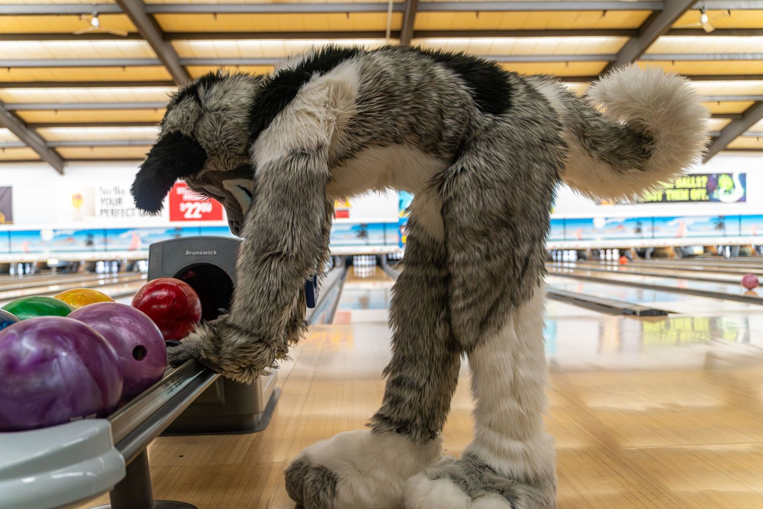 People in fursuit costumes bowling at a bowling alley with colorful lanes and decorative lighting.