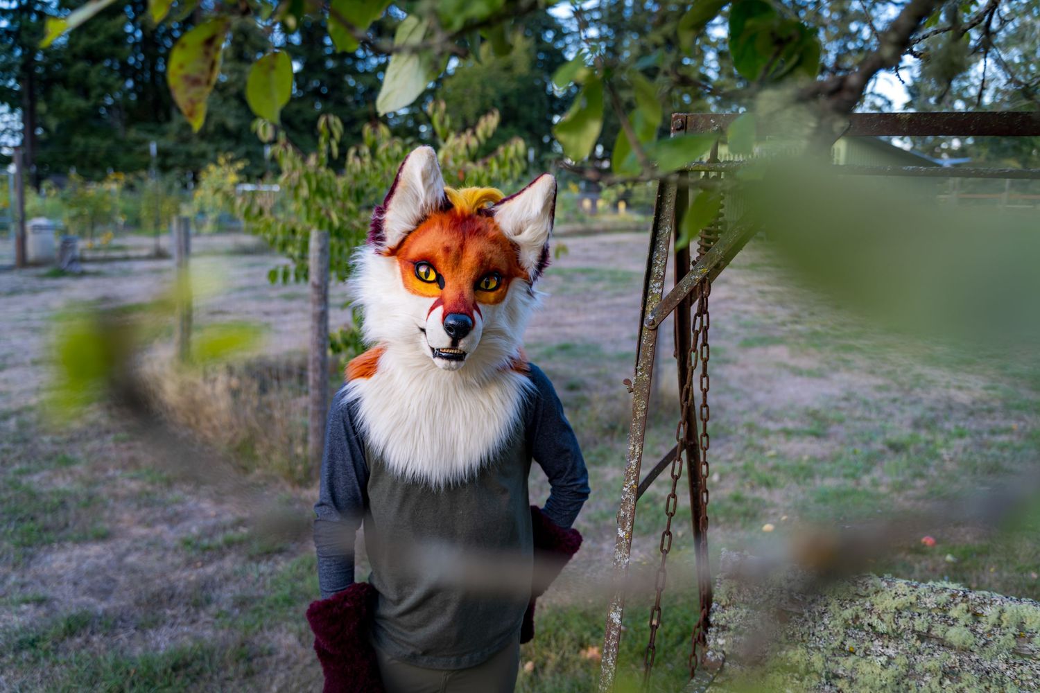 Fursuit performers interact with cattle in an outdoor farm setting.