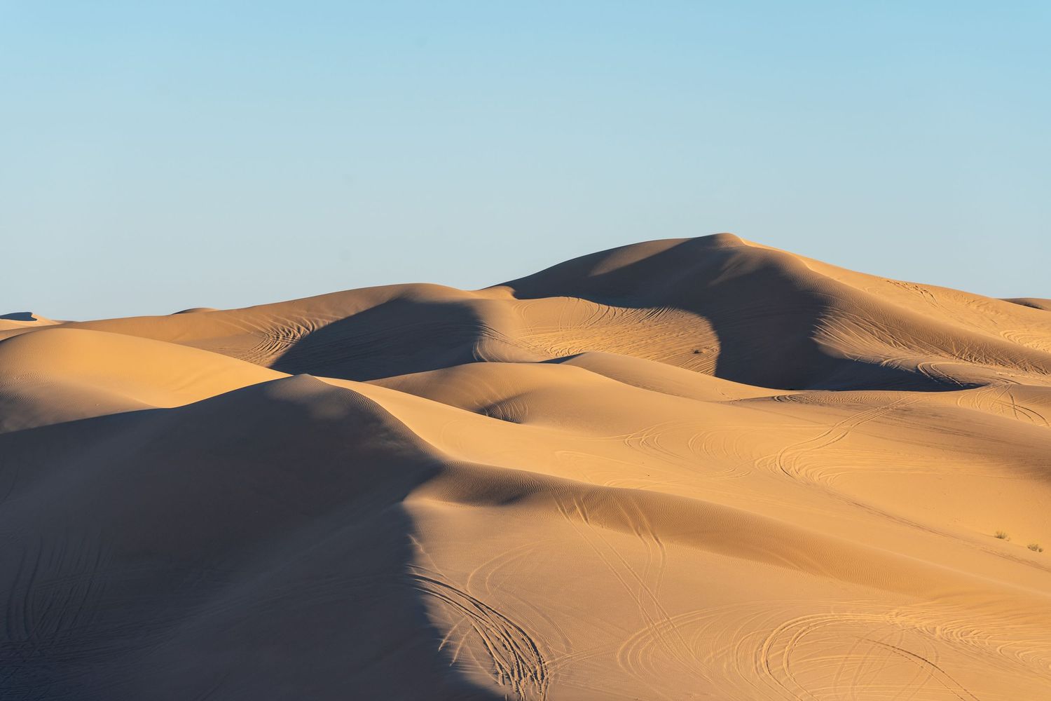 Rolling sand dunes create flowing patterns across desert landscape under clear sky.