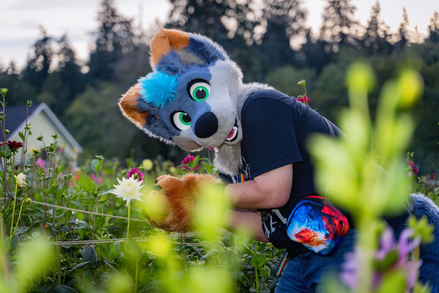 Blue and brown fursuit characters interact playfully in a garden setting with flowers.