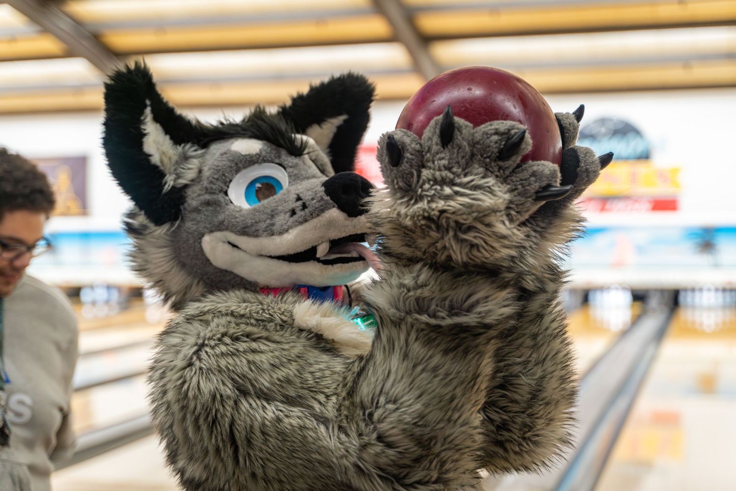 A furry character with blue eyes and black ears holds up a bowling ball at a bowling alley.