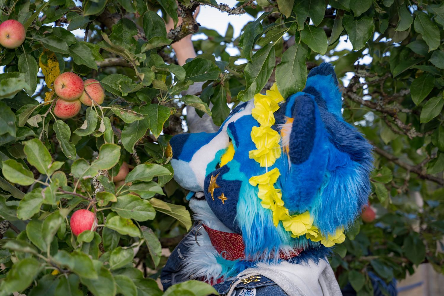 Costumed characters pose among apple trees with ripe fruit in an orchard.